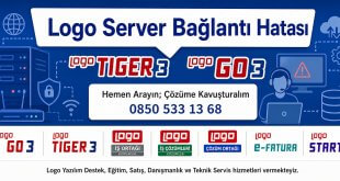 Logo Server Bağlantı Hatası